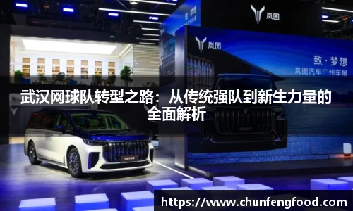 武汉网球队转型之路：从传统强队到新生力量的全面解析